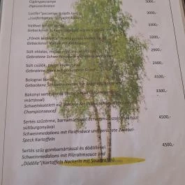 Nyíres Kisvendéglő, Böhönye - Étlap/itallap