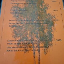 Nyíres Kisvendéglő, Böhönye - Étlap/itallap