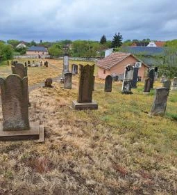 224. legjobb látnivaló: Nyírtassi zsidó temető