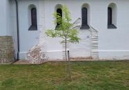 Nyírtéti Református Egyházközség temploma Nyírtét