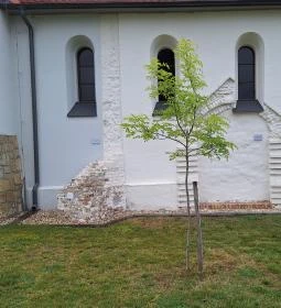 Nyírtéti Református Egyházközség temploma