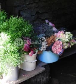 Óbudavári Mosóház & Szent Márton Pihenőpark