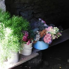 Óbudavári Mosóház & Szent Márton Pihenőpark, Óbudavár - Belső