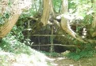 Óbudavári Mosóház & Szent Márton Pihenőpark Óbudavár