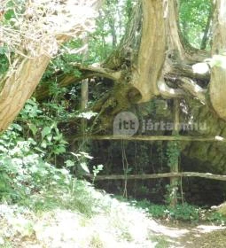 Óbudavári Mosóház & Szent Márton Pihenőpark