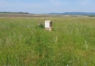 Óceánrepülés emlékmű Felcsút