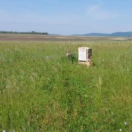 Óceánrepülés emlékmű, Felcsút - Külső kép