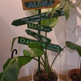 Ohana - The Coffee Family Budapest - Egyéb