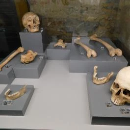 Cella Septichora Látogatóközpont - Ókeresztény Mauzóleum Pécs - Egyéb