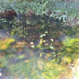 Öko-Park Panzió Szarvaskő - Egyéb