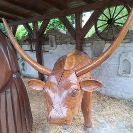 Ökomenikus Betlehem Kisgyőr - Egyéb