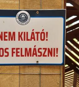 Ölelő ember