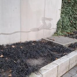 Olimpia park, Budapest - Egyéb