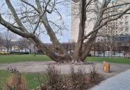 Olimpia park Budapest