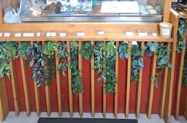 Oliviks Kitchen Budapest