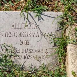 Olvasó nő szobor, Szentes - Egyéb