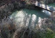 Onogesius-szobor Velemér