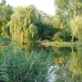 Ópusztaszeri Nemzeti Történeti Emlékpark Ópusztaszer - Külső kép