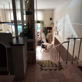 Orchidea Cukrászda Balassagyarmat - Belső