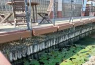 Orchidea Étterem, Lipót Lipót