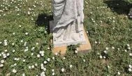 Öreg Bükk ökoturisztikai rekreációs park, Nagycenk