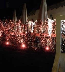 Öreg Halász Étterem