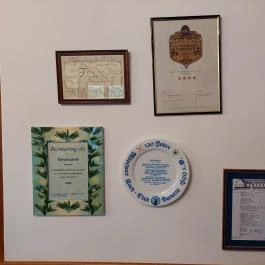 Öreg Tanyacsárda Étterem Lajosmizse - Egyéb