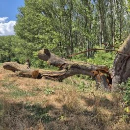 Öreg Tölgy , Tiszadada - Külső kép