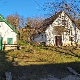 Öreghegyi Pincesor, Bakonygyirót - Külső kép