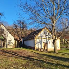 Öreghegyi Pincesor, Bakonygyirót - Külső kép
