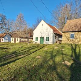 Öreghegyi Pincesor, Bakonygyirót - Külső kép