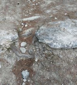 Óriások Lépcsője