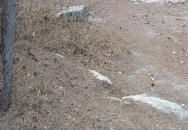 Óriások Lépcsője Tök