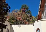 Orosdy-kastély Pilisszántó