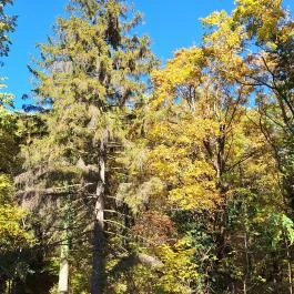 Orosdy-kastély Pilisszántó - Külső kép