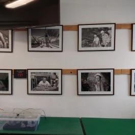 Oroszlányi Bányászati Múzeum, Oroszlány-Majkpuszta - Egyéb