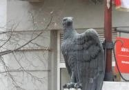 Országzászló Kiskunfélegyháza