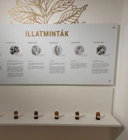 Orvos- és Gyógyszerészettörténeti Kiállítás