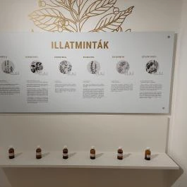 Orvos- és Gyógyszerészettörténeti Kiállítás Kecskemét - Egyéb