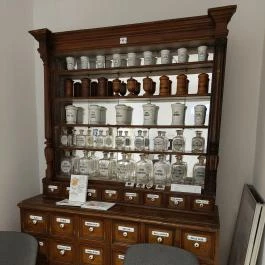 Orvos- és Gyógyszerészettörténeti Kiállítás Kecskemét - Egyéb