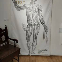 Orvos- és Gyógyszerészettörténeti Kiállítás Kecskemét - Egyéb