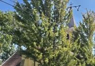 Őrzőangyalok Templom Edve