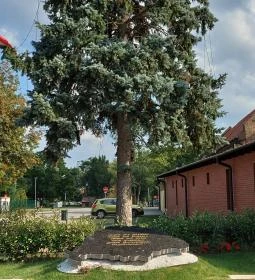 Összetartozás és a magyar feltámadás emlékműve