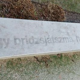 Ottlik-kert, Budapest - Egyéb