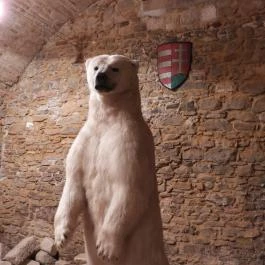 Ozorai várkastély Ozora - Egyéb