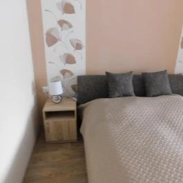 Pacsirta Apartman Gyula - Szobák