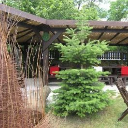 Pajta Galéria Étterem Salföld - Egyéb