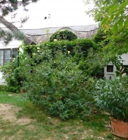 Pajta Galéria Étterem