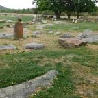 Pajta Galéria Étterem Salföld - Egyéb