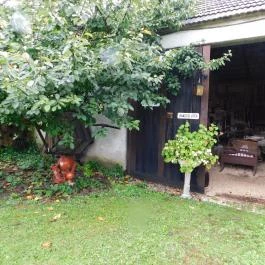 Pajta Múzeum, Szentbékkálla - 